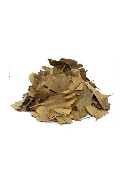 Aktarzane شجرة الجنكة بيلوبا مابيت 100 جم