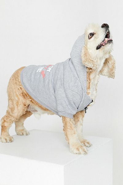 Koton Gri Kapusonlu Kopek Sweatshirt 0kal18329ik Fiyati Yorumlari Trendyol