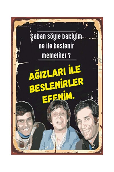 Hayat Poster Hababam Sınıfı Yeşilçam Retro Ahşap Poster 2030004