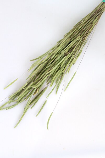 Yapay Çiçek Deposu Kuru Çiçek Dağ Püskülü