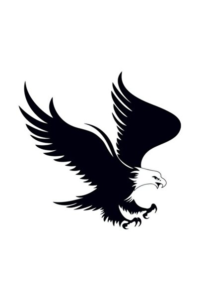 Sticker Sepetim Beşiktaş Kartal Atak Dekoratif Çok Amaçlı Oto Sticker 25x25 cm.