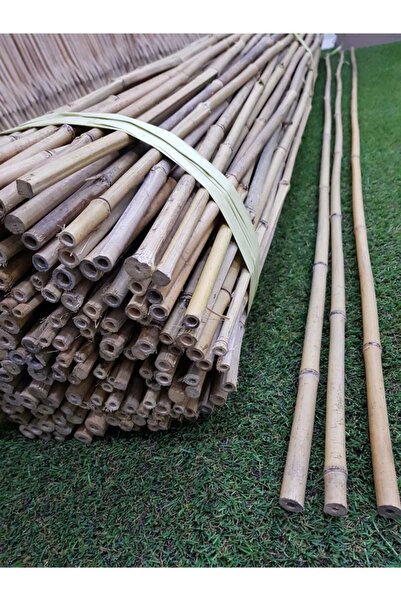 Ekodoğa Bambu Çubuk 180 Cm 30 Adet 14-16 Mm Bambu Çubuğu Bambu Çubukları Bitk...