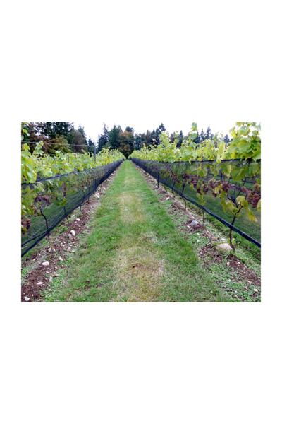 Ekodoğa Gölgelik File 2x5 Metre 40 Lık Gölgelik Örtüsü Arı Tülü Arı Filesi Ko...