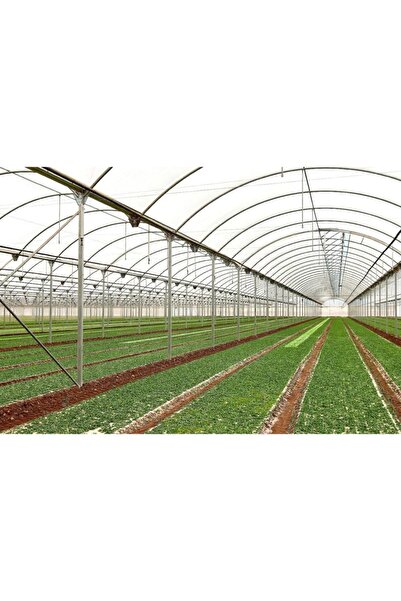 Özel Yapım 36 Aylık Sera Naylonu 350 Mikron En 6 M. - Boy 7 M. Kalın Sera Ört...