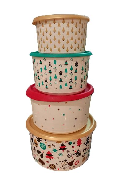Tupperware Polar Star