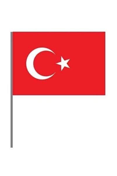 Vatan Sopalı Battal Boy Türk Bayrağı 50 Li