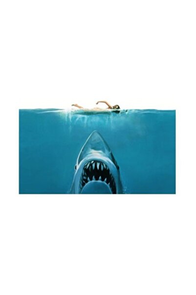 Artikel ملصق دفتر القرش