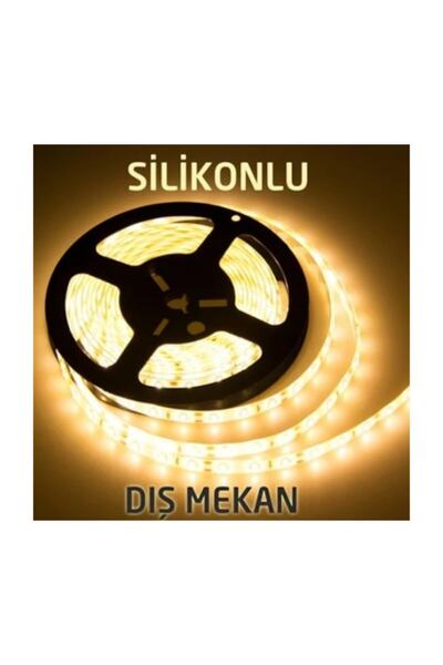 LEDREYON 5050 Silikonlu 5 Metre Dış Mekan Şerit Led Aydınlatma Günışığı