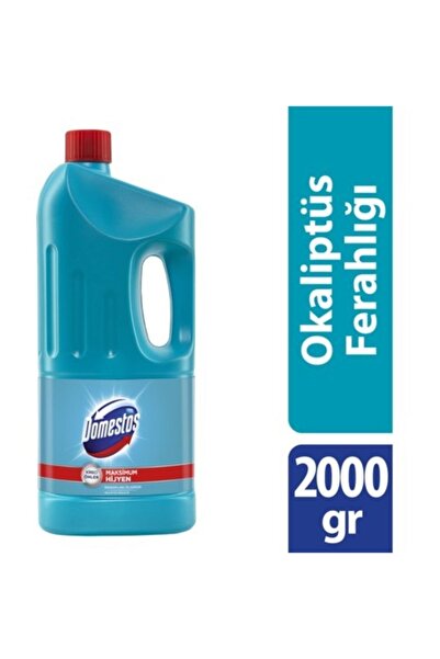 Domestos Okaliptüs Ferahlığı Yoğun Kıvamlı Çamaşır Suyu 2 LT