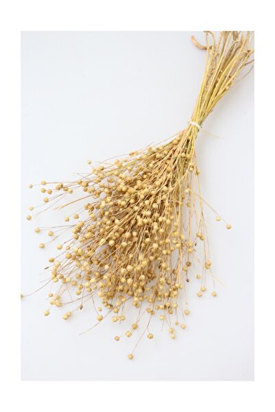 Yapay Çiçek Deposu 60 г натурални сушени цветя Luna - лен