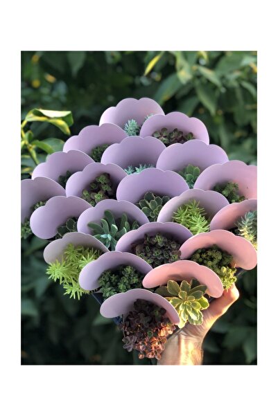 FİDAN PAZARI 20'li Mix Pembe Kağıtlı Süsleme