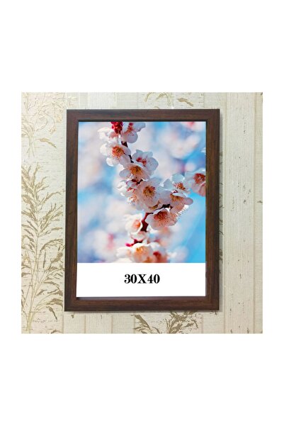 ÖZCANLAR ÇERÇEVE Hediyelik Çerçeve Ev Home Ofis Kişiye Özel Resim Çerçevesi M...