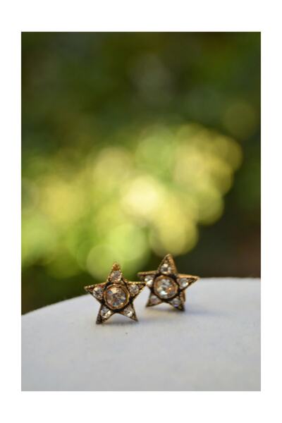 Stoneage Çivili Minimal Yıldız Bronz Bayan Küpe
