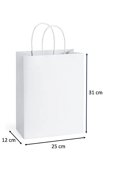 Kraft Ofis White Bag with Twist Handle 25 Cm X 12 Cm X 31 Cm (50 Pieces) (Paper Bag)