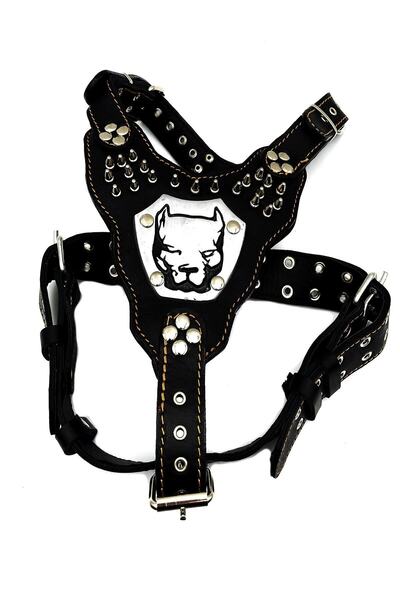 Tasma Market Siyah Pitbull Kafalı Gladyatör Deri Köpek Göğüs Tasması