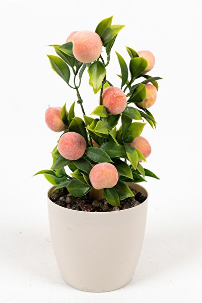 YAPAY ÇİÇEKÇİNİZ Beyaz Plastik Saksıda Bambu Gövdeli Yapay Şeftali Ağacı 25 Cm