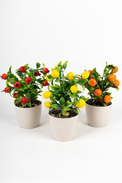 YAPAY ÇİÇEKÇİNİZ 3 Adet Beyaz Plastik Saksıda Yapay Meyve Ağacı Seti