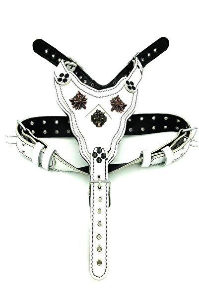 Tasma Market Beyaz Kurt Başlı Deri Köpek Göğüs Tasması Köpek Göğüslük