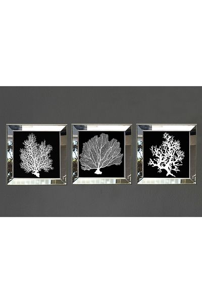 Linacci Σετ αφίσας με πλαίσιο καθρέφτη Triple Silver Coral Black Seacoral Nature Glass