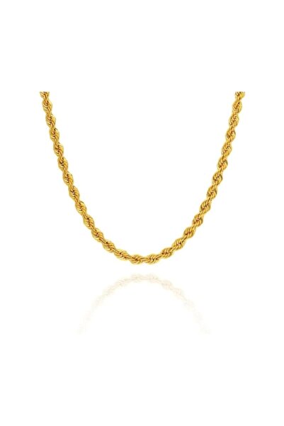 purple secret Burgu Zincir Kolye- Altın Kaplama | A+ Kalite Alaşım | 70 Cm Zi...