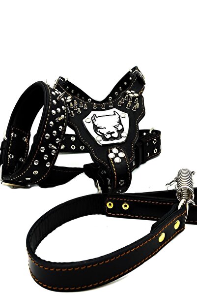 Tasma Market Siyah Gladyatör Pitbull Deri Köpek Göğüs, Boyun, Gezdirme Tasması 3'lü Set