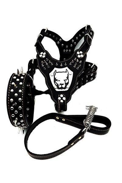 Tasma Market Siyah Gladyatör Pitbull Deri Köpek Göğüs, Boyun, Gezdirme Tasması 3'lü Set