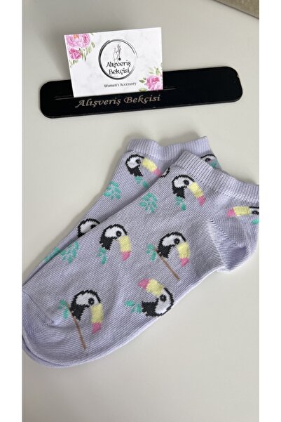 Alışveriş Bekçisi جوارب طائر الطوقان أرجواني أرجواني