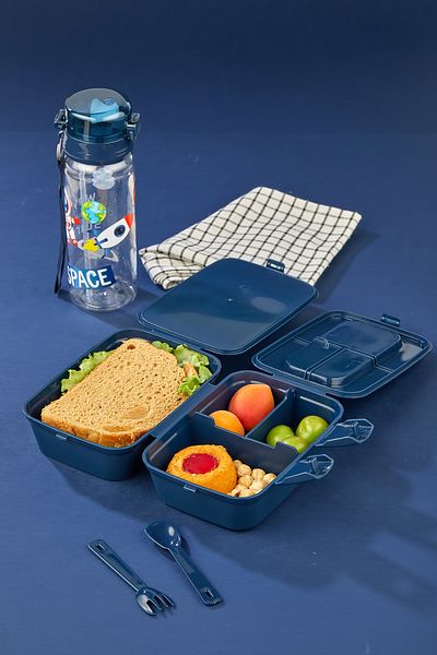 ALİNA HOME 4 Compartments 2 Layers Lunch Box - Self Spoon and 500 Cc Straw Flask