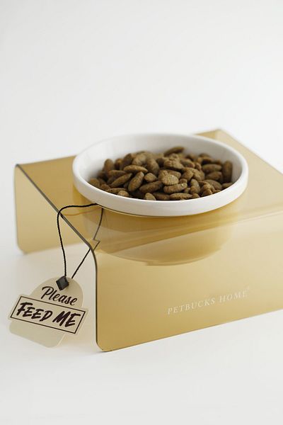 Petbucks Pet Accessories Cat and Dog Food Bowl and Water Bowl with Ceramic Bowl
