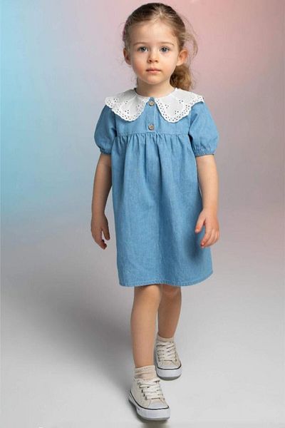 ADABEBEK Embroidered Collar Denim Dress