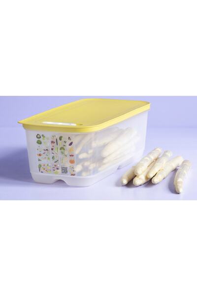 Tupperware SERA 6.1 LİTRE
