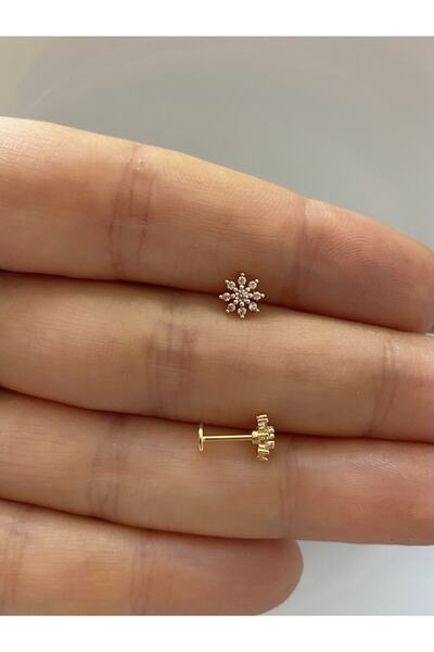 Arescollection الفولاذ الجراحي مستقيم الظهر الأمامي المدرج LABRET TRAGUS HELIX CONCH CARTILE LOBE ROOK ثقب متوافق