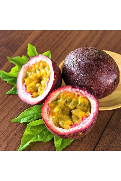 MYANAMUR 5 Adet Passiflora-çarkıfelek