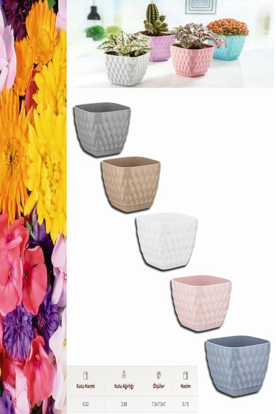 Cone Square Flower Pot 0.15 Lt 5 Pieces