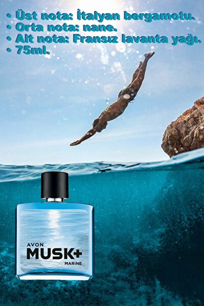 AVON Musk Marine Musk Instinct ve Musk Mineralis Erkek Parfüm Paketi