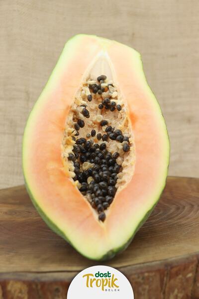Dost Tropik Belek Yerli Papaya Meyvesi 1kg