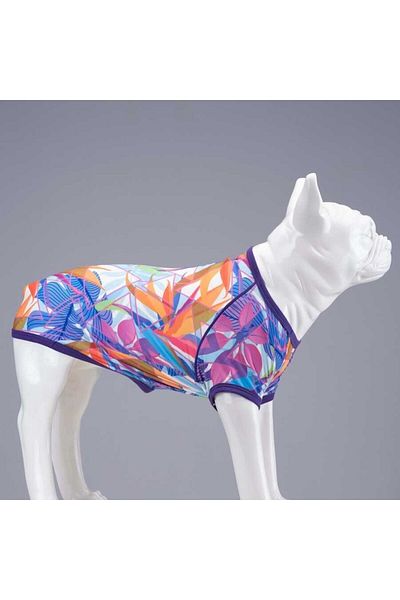 Lindodogs Violet Small, Medium and Large Breed Dog T-shirt