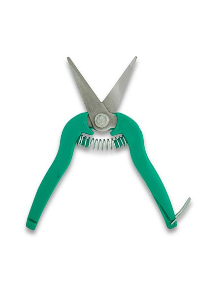 ALASTOR Vineyard Shears Garden Plant Flower Grape Citrus Pruning Shears 19 cm 40009