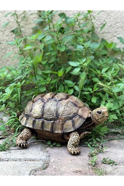 Dekoromi Dekoratif Kaplumbağa Heykeli (32x24cm)