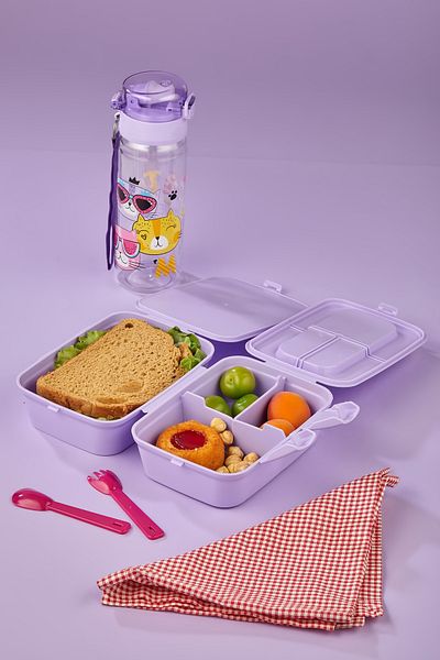 ALİNA HOME 2 Layers 4 Compartments Lunch Box with Spoon and 500 CC Straw Flask with Cat