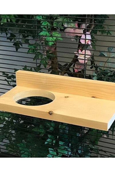 Alyones 30cm Fırında Kurutulmuş Çam Chinchilla Çıkıntısı, Kaka Korumalı ve 50...