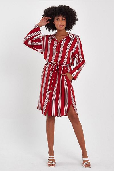 ALEXANDERGARDI BIRDED SHIRT COLLAR DRESS (B19-140312)