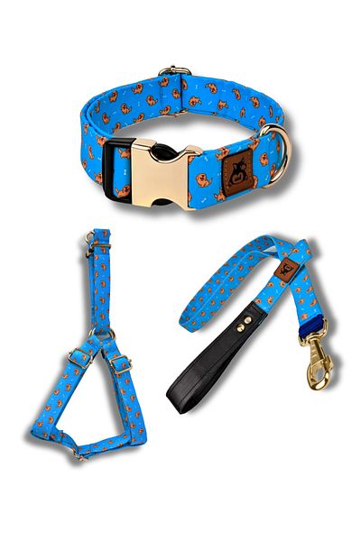 UTDpet Goldie Dog Collar Set