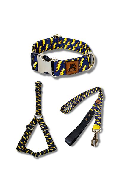 UTDpet Zeus Dog Collar Set