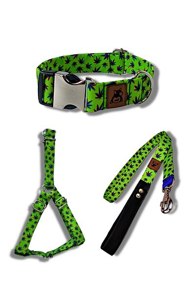 UTDpet Leaves Dog Collar Set