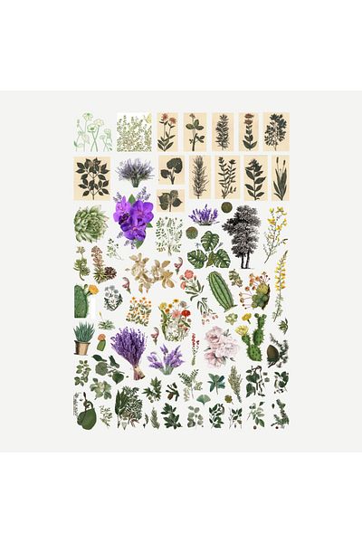 Ororabutik Σετ αυτοκόλλητων 74 τμχ Fairycore Botanical Sticker - Scrapbook Bullet Journal Sticker Set