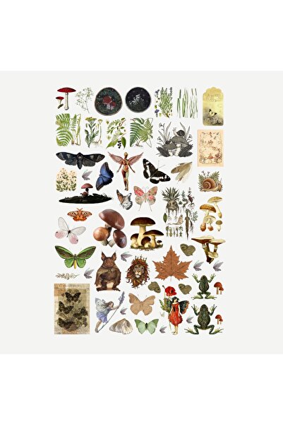 Ororabutik مجموعة ملصقات Fairycore مكونة من 56 قطعة - مجموعة ملصقات مجلة سكرابوك رصاصة