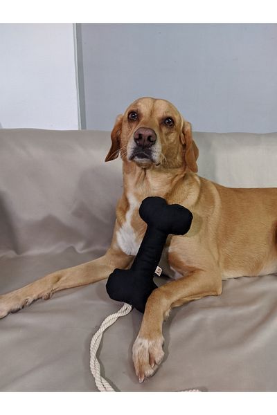UTDpet Bestie Traction Bone Dog Toy