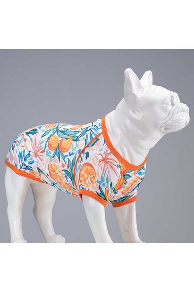 Lindodogs Orange Blossom Small, Medium and Large Breed Dog T-shirt