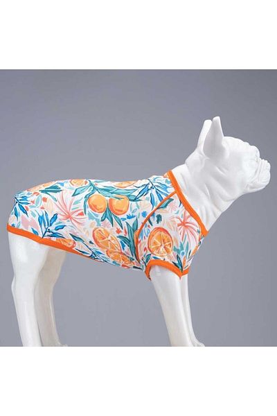 Lindodogs Orange Blossom Small, Medium and Large Breed Dog T-shirt